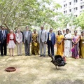    Inaugural of MGMARI